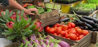 SAGE Farmers Market, Moruya - Country Airstrips Australia
