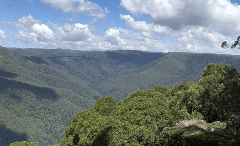 tourist attractions in scone nsw