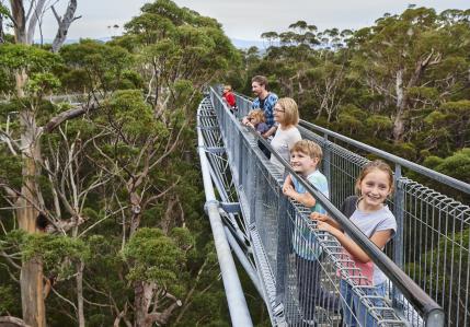 Treetop Walk WA