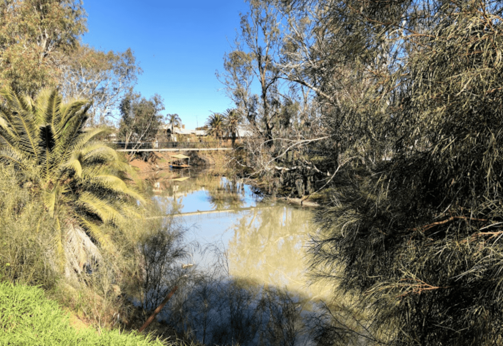 Lunch in Hillston