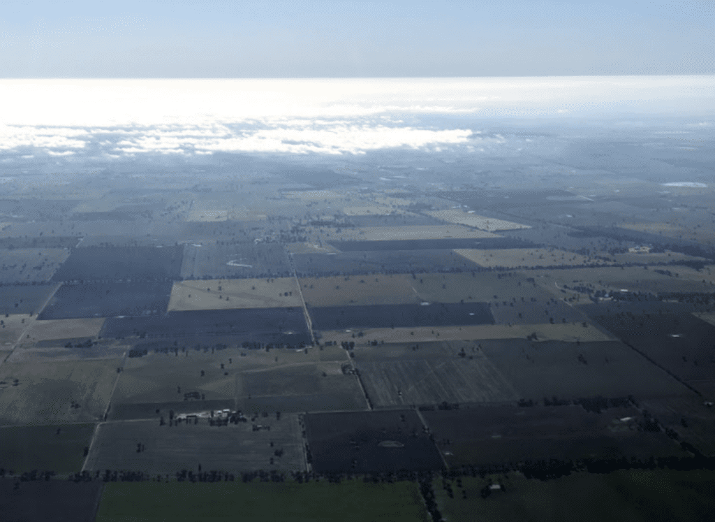 flying home