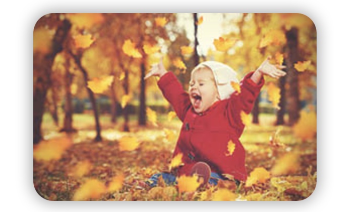 Autumn in Bright, Victoria 