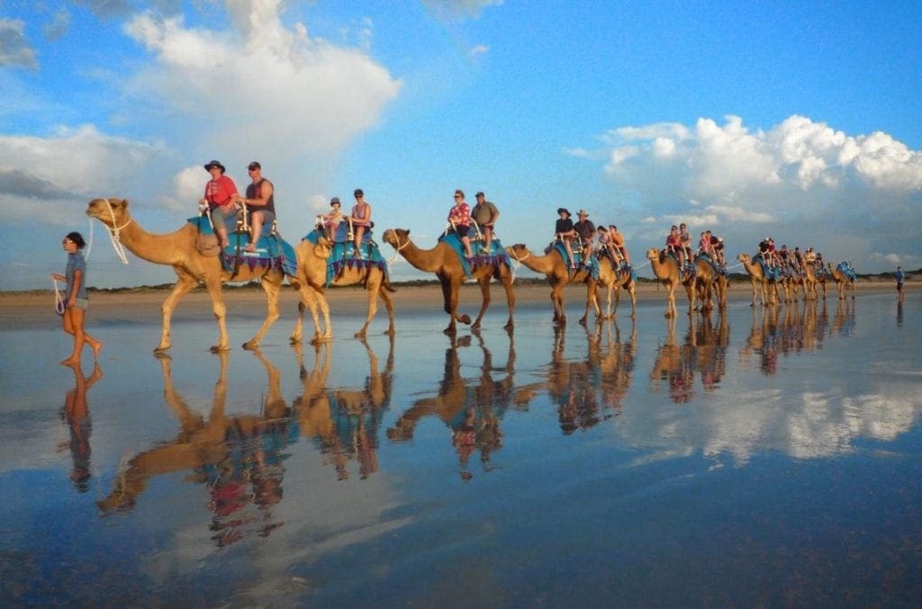 Broome Camels on Cable Beach WA