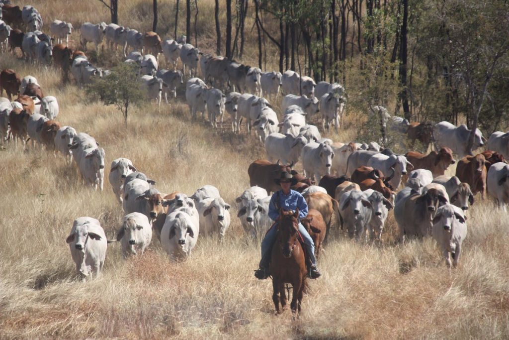 Gilberton Outback Retreat QLD