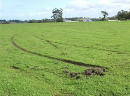 What happened to my braking? A sticky end to the landing roll on a nice wet grass strip. Country Airstrips Australia.