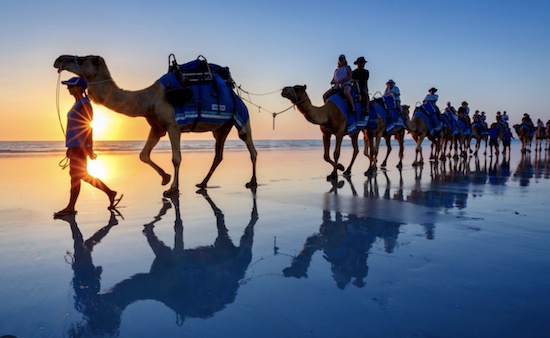 Camel rides at sunset in Broome WA. One of the top 10 stunning destinations for pilots. Country Airstrips Australia.